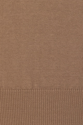 DENIM CULTURE Sweater 'DOMINIK' in Brown