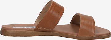 Mule STEVE MADDEN en marron