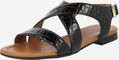 Sandale cu baretă Billi Bi pe negru, Vizualizare produs