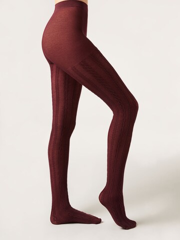 CALZEDONIA Tights in Red: front