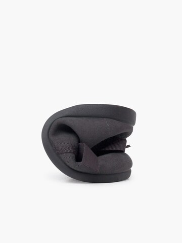 Chaussure basse Pisamonas en gris