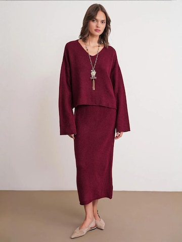 Costume MixRay en rouge : devant