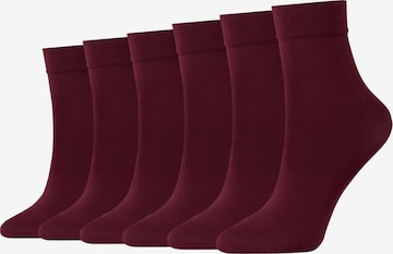 camano Socken in Rot: predná strana