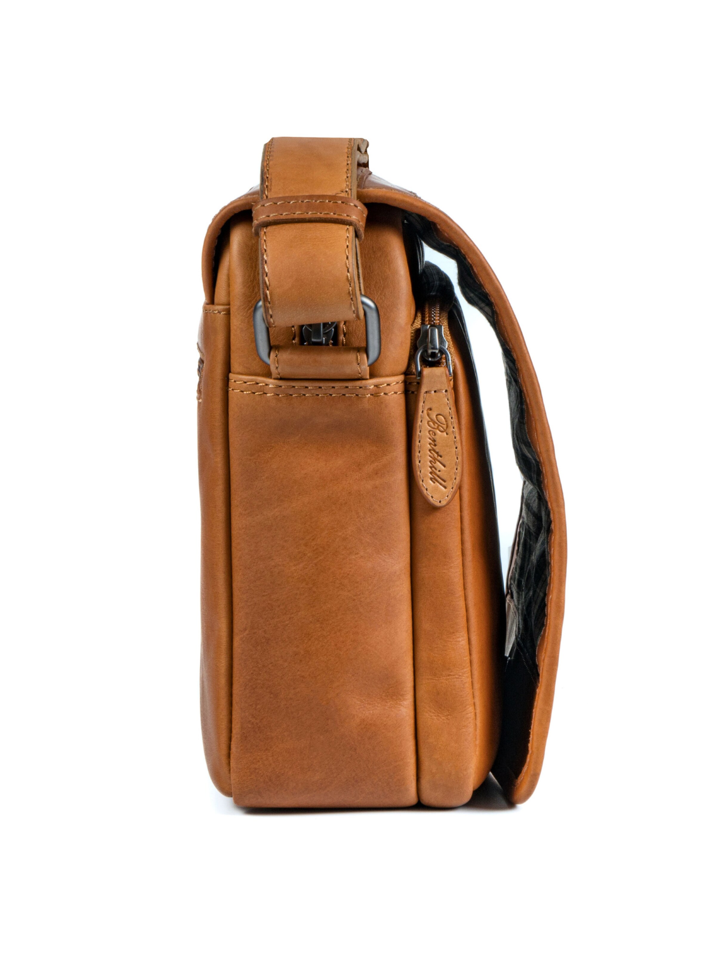 Benthill Messenger 'Messenger' in Brown