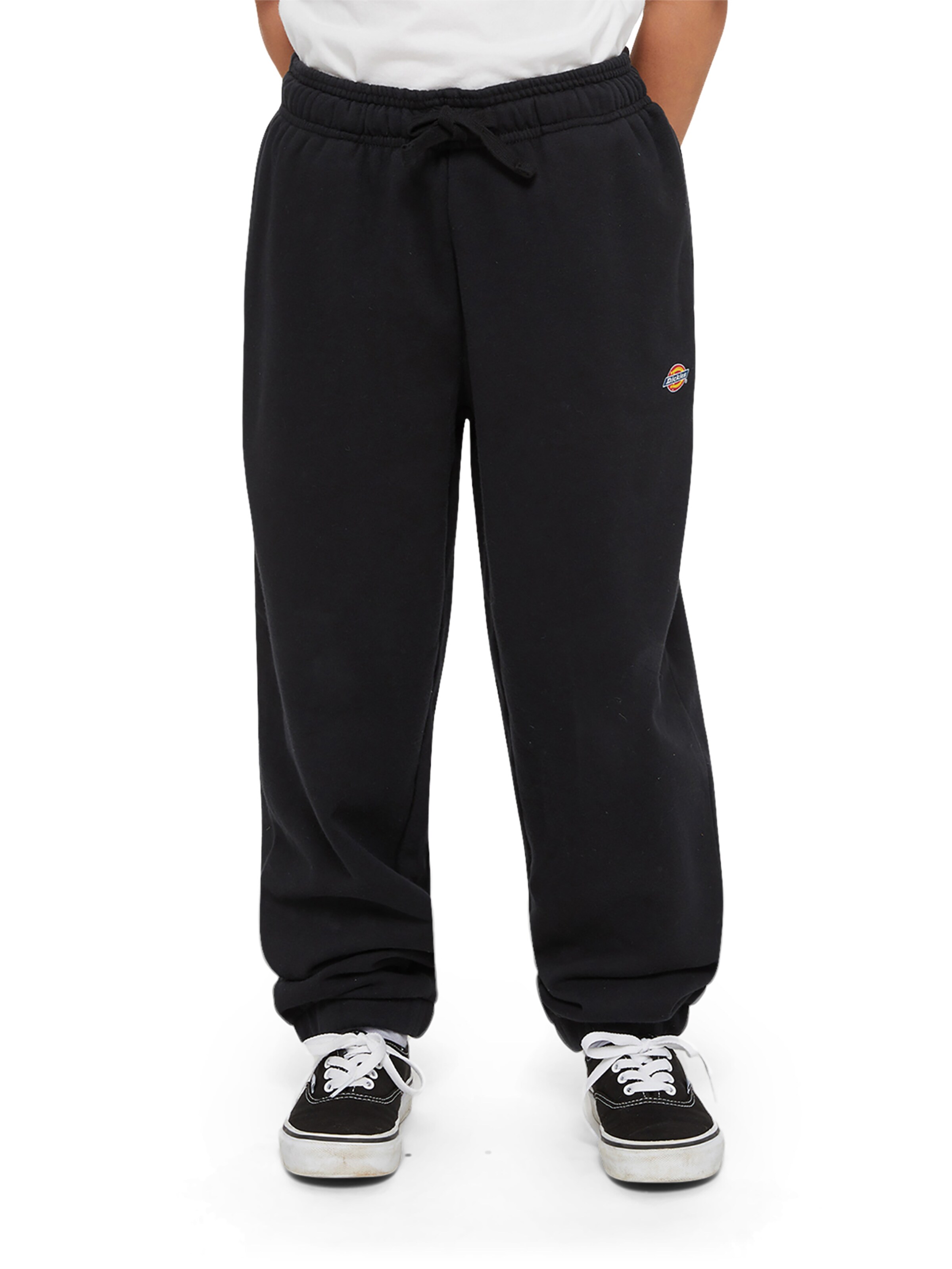 DICKIES - regular Pantalón 'Mapleton' en negro: frente