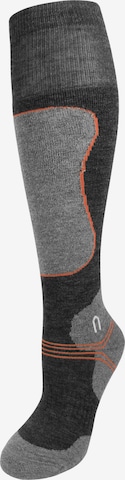 Polar Husky Knee High Socks in Black: front