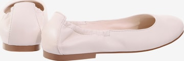 Högl Ballet Flats 'Daisy' in White