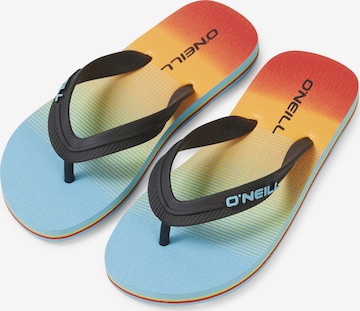 O'NEILL - Sapato de praia/banho em mistura de cores