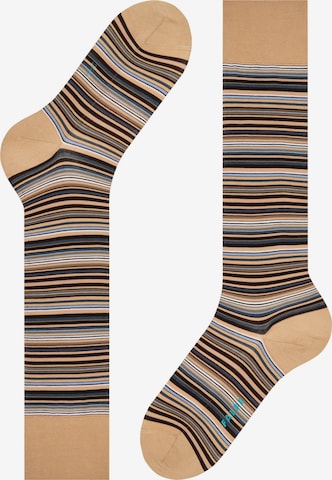FALKE Knee High Socks 'Microblock' in Brown: front