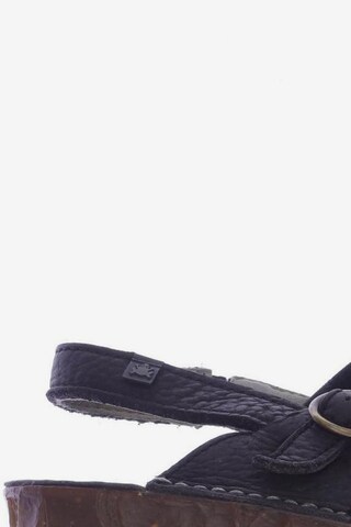 EL NATURALISTA Sandals & High-Heeled Sandals in 39 in Black