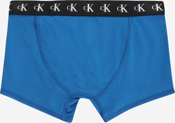 Calvin Klein Underwear Aluspüksid, värv sinine