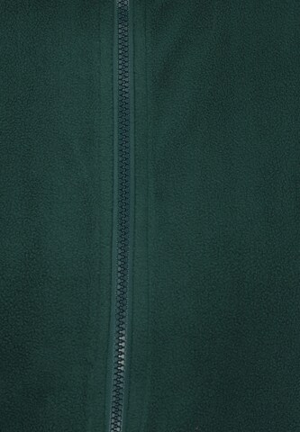 Gilet di nolie in verde