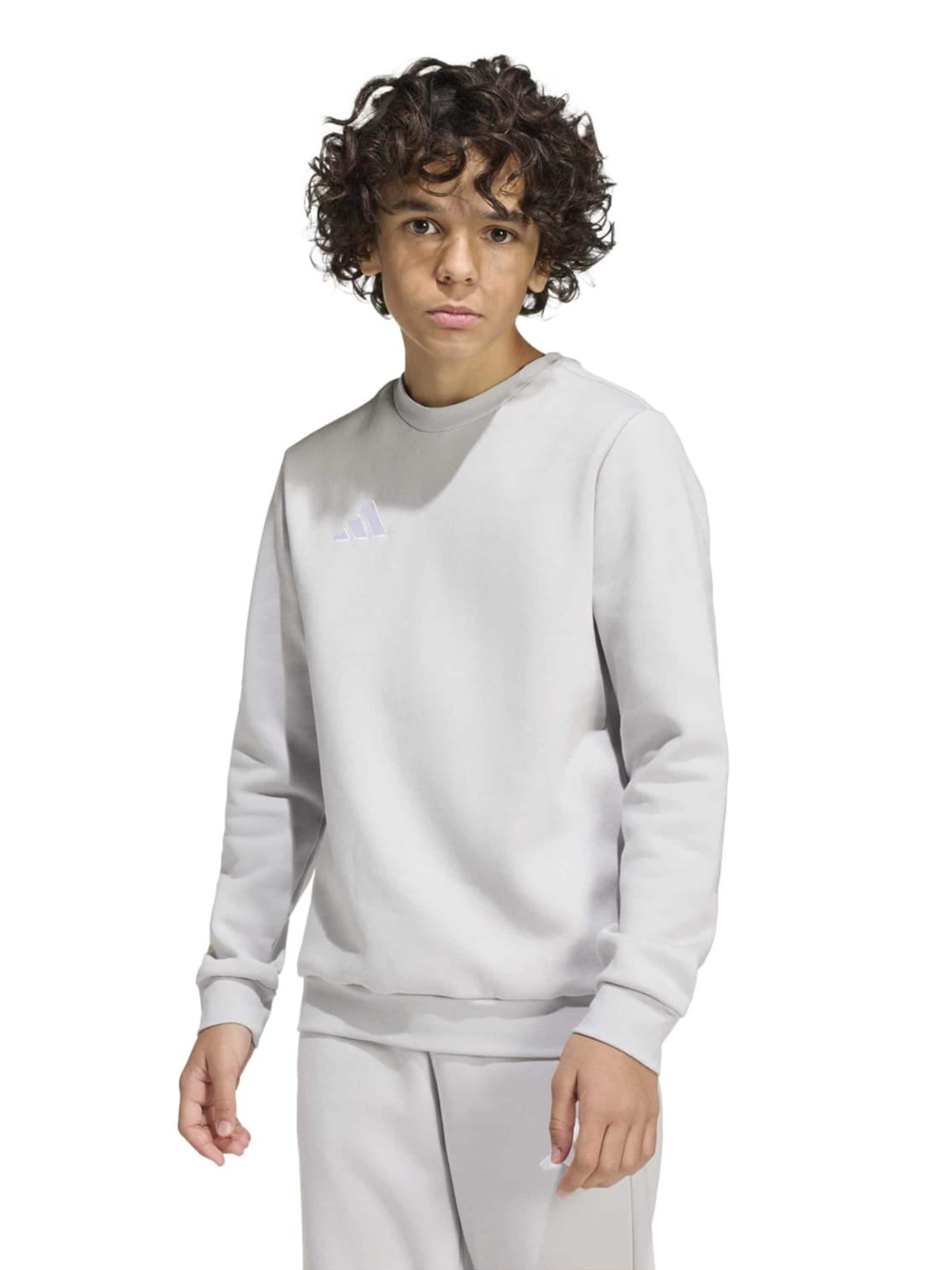 Hanorac sport 'ENT26' de la ADIDAS PERFORMANCE pe gri: față