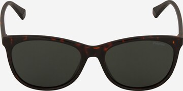 Polaroid Sunglasses in Brown