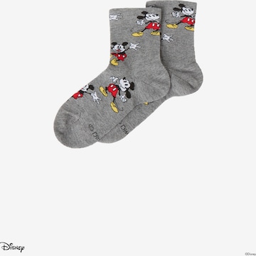 CALZEDONIA Socks in Grey: front