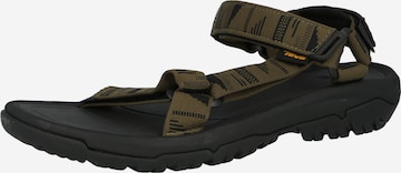 Sandales TEVA en vert : devant