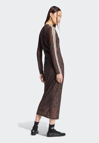 ADIDAS ORIGINALS Kleid in Braun