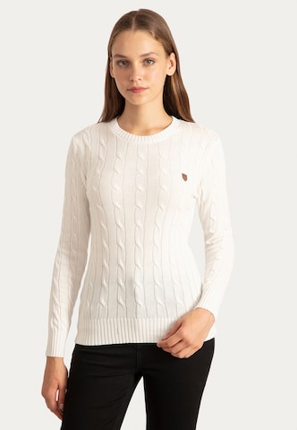 Sir Raymond Tailor Strickpullover 'Igor' in Beige: Vorderseite