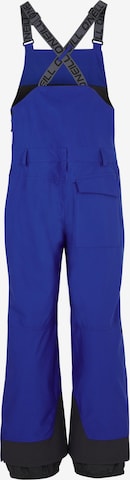 O'NEILL Loose fit Outdoor Pants 'Shred Bib' in Blue