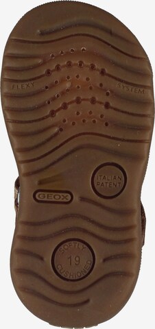 GEOX Sandals & Slippers in Brown