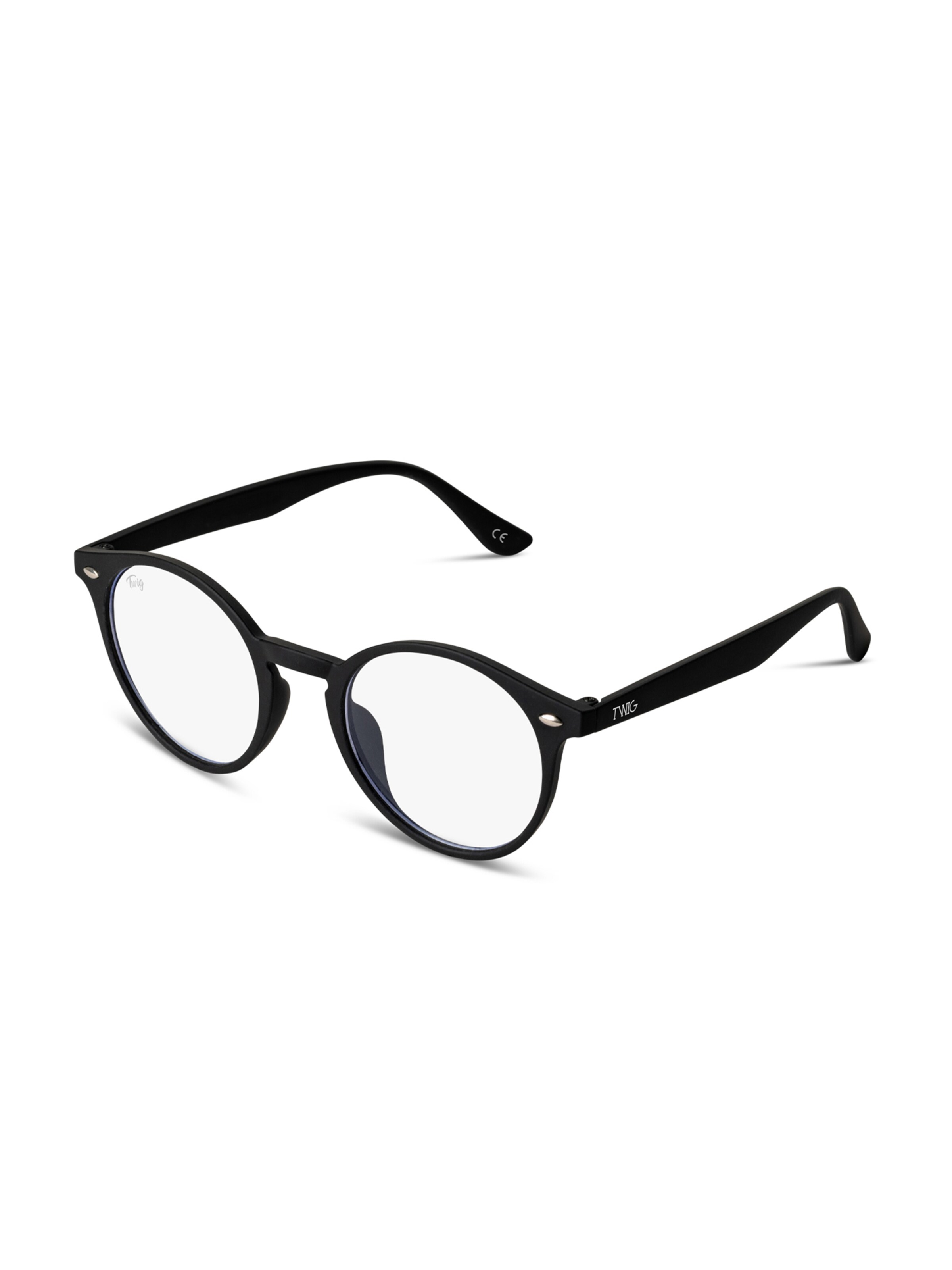 TWIG Concept Milano Glasses 'Jager' in Black: front