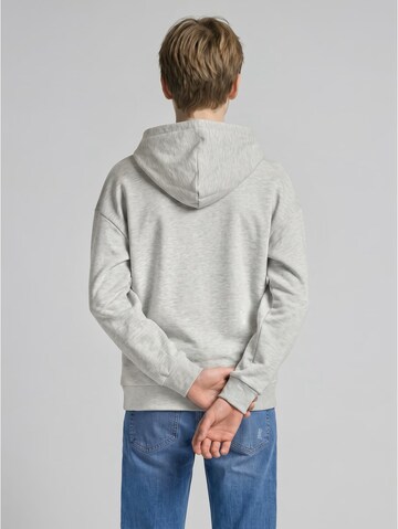 TOM TAILOR Sweatshirt 'Peanuts' in Grey