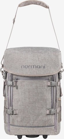 normani Trolley in Grijs: voorkant