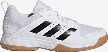 Chaussure de sport 'Ligra 7' ADIDAS PERFORMANCE en blanc