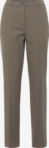 Goldner Regular Pleated Pants in Brown: front