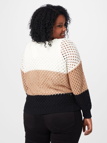 SAMOON Sweater in Mixed colours
