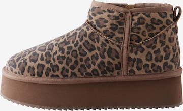 ruda Next Aulinukai: priekis