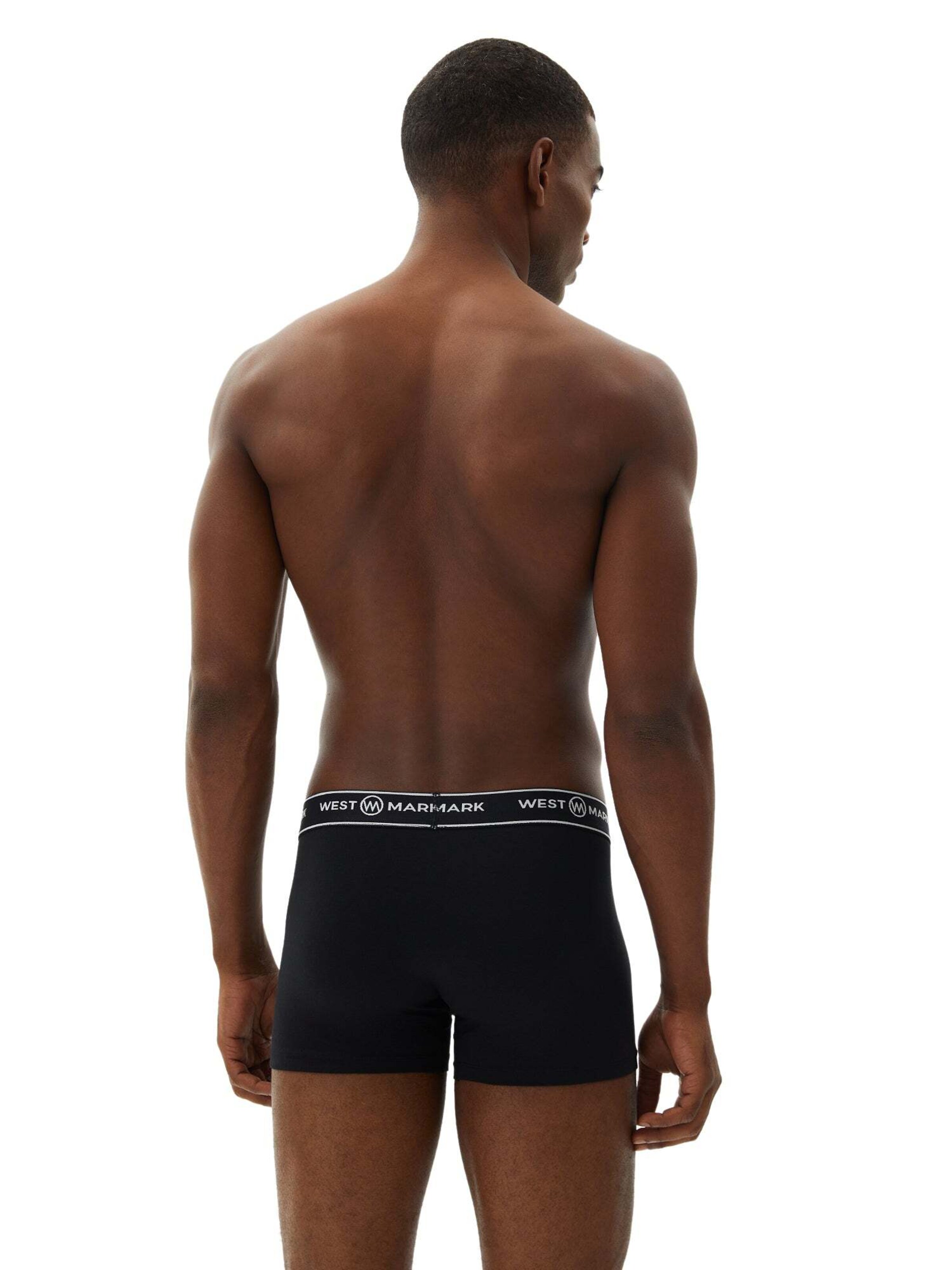 WESTMARK LONDON Boksershorts 'Atlas' i grå