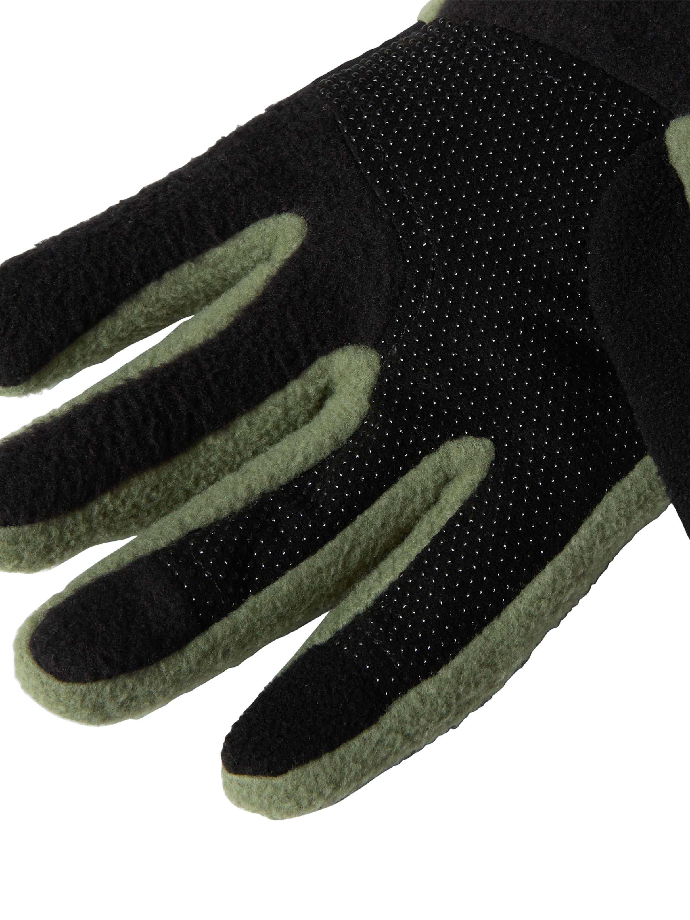 THE NORTH FACE Γάντια με δάχτυλα σε μαύρο