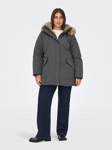 pelēks ONLY Carmakoma Ziemas parka