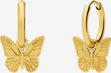 Lucardi Earrings in Gold: front