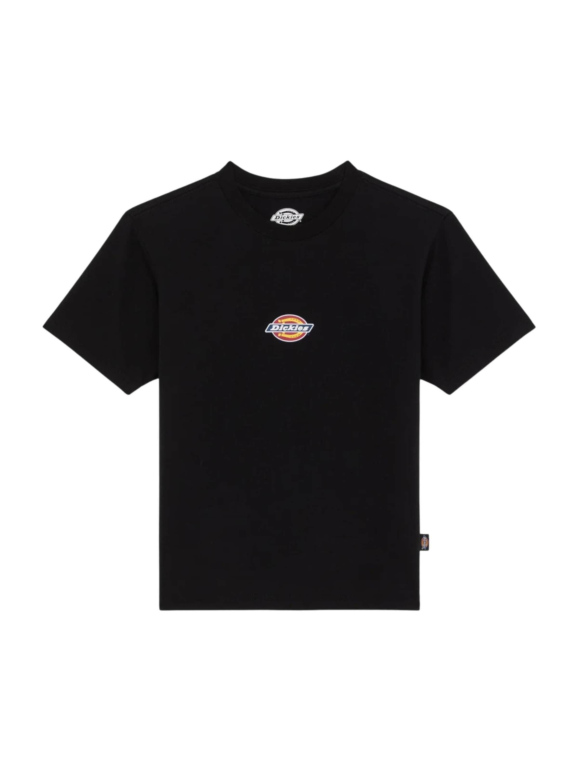 Maglietta 'DICKIES MAPLE VALLEY REG TEE W T-SHIRT' di DICKIES in nero: frontale
