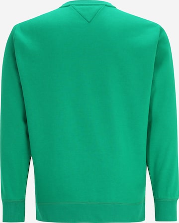 Tommy Hilfiger Big & Tall Sweatshirt in Green