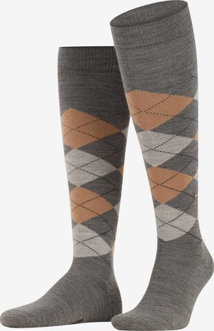 BURLINGTON Knee High Socks in Grey: front