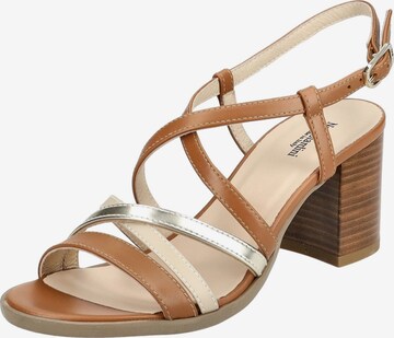 Nero Giardini Strap Sandals in Brown: front