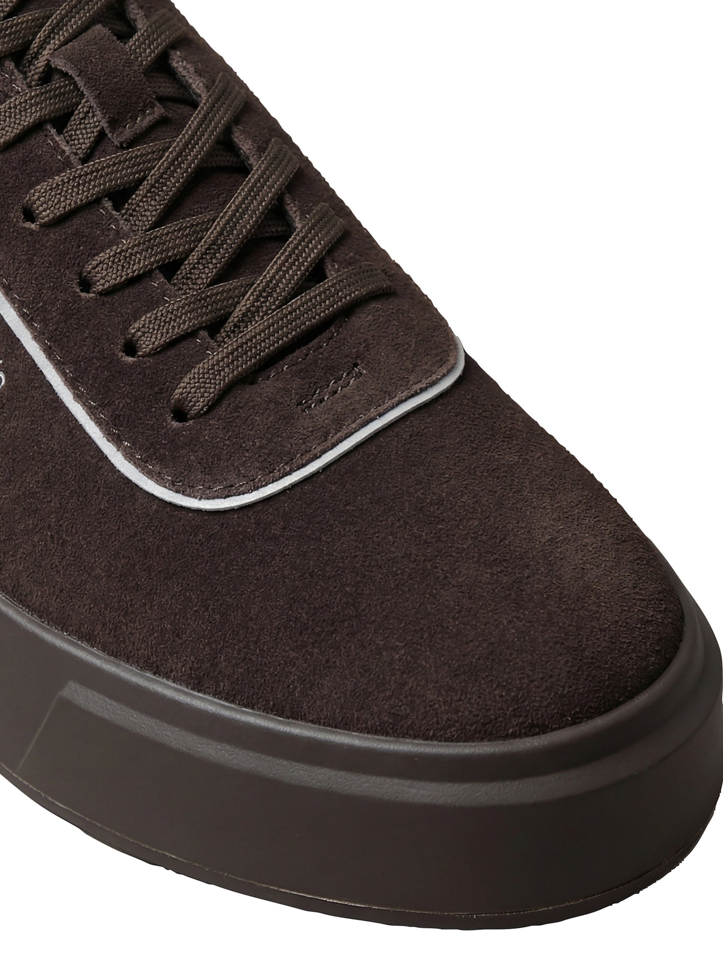 Baskets basses Calvin Klein en marron