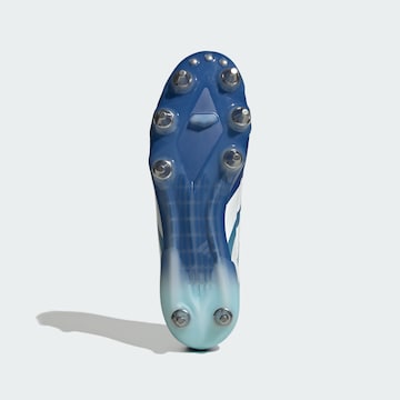 ADIDAS PERFORMANCE Kopačky 'Kakari RS' – modrá