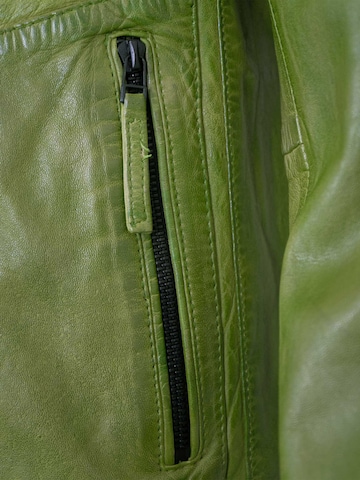 Jilani Tussenjas 'Nilan-2' in Groen