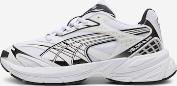 PUMA Sneaker low 'Velophasis Always On' i hvid: forside