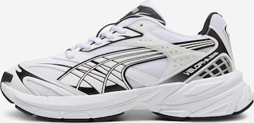 PUMA - Zapatillas deportivas bajas 'Velophasis Always On' en blanco: frente