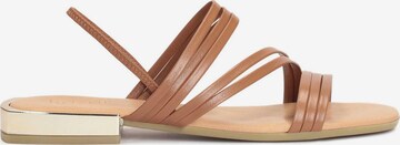 Kazar Strap Sandals in Brown