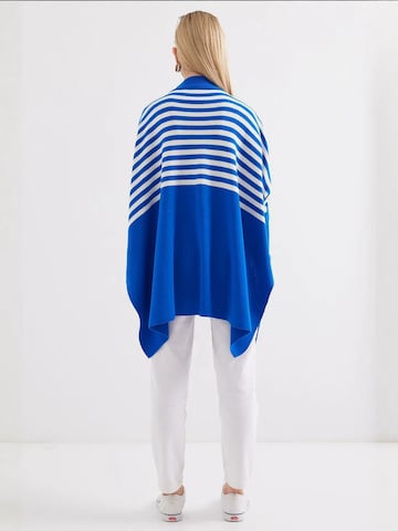 Bigdart Trui in Blauw