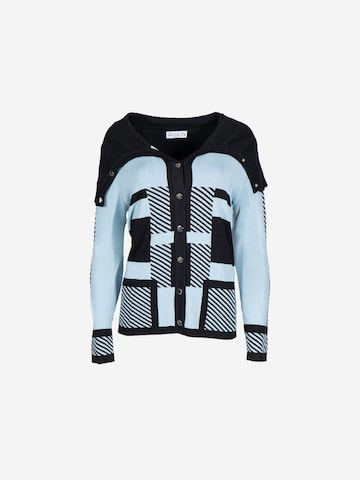 Passioni Knit Cardigan in Blue: front