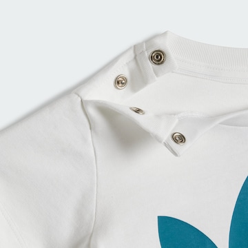 ADIDAS ORIGINALS Set in Grün