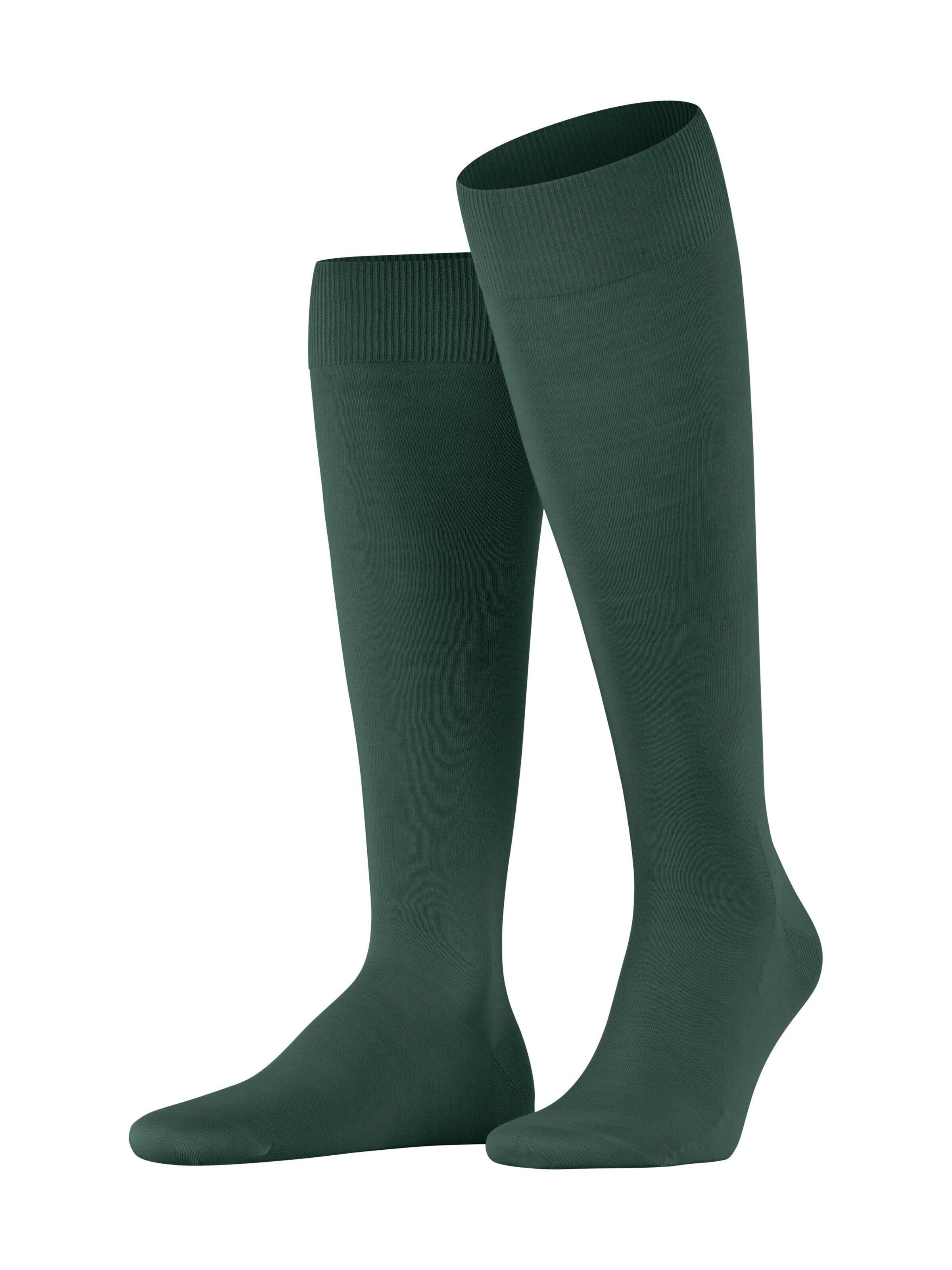 FALKE Kniestrümpfe 'ClimaWool'‌‌‌‌‌ in Grün: Vorderseite