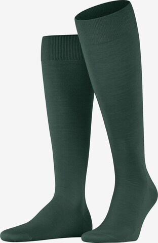 FALKE Kniestrümpfe 'ClimaWool' in Grün: Vorderseite